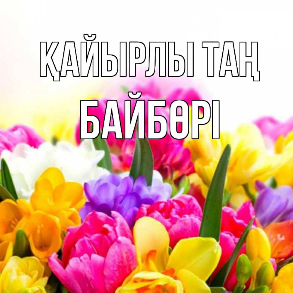 Күн сайын ашық хат с именем, Байбөрі Қайырлы таң создать открытку со свое подписью Онлайн тегін жүктеп алу тілектері бар керемет карта 