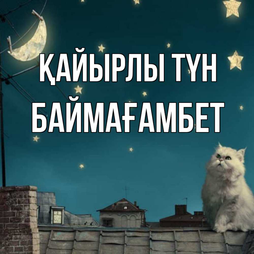 Күн сайын ашық хат с именем, Баймағамбет Қайырлы түн белый кот сидит на крыше Онлайн тегін жүктеп алу тілектері бар керемет карта 