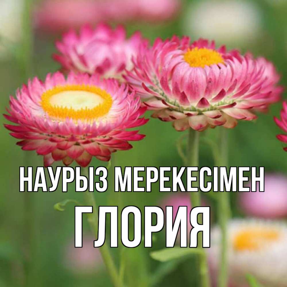 Күн сайын ашық хат с именем, Глория Наурыз мерекесімен подарок на международный женский день Онлайн тегін жүктеп алу тілектері бар керемет карта 