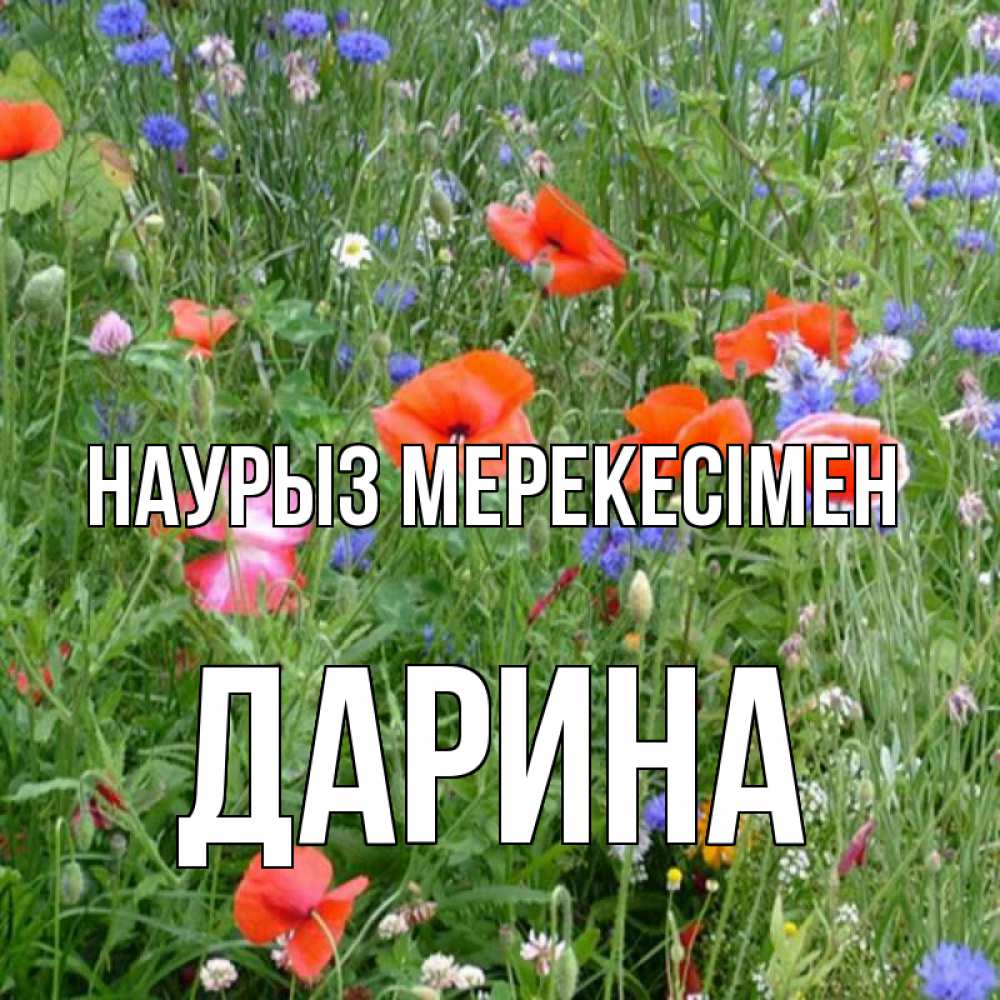 Күн сайын ашық хат с именем, Дарина Наурыз мерекесімен праздник весны наурыз супер открытка Онлайн тегін жүктеп алу тілектері бар керемет карта 