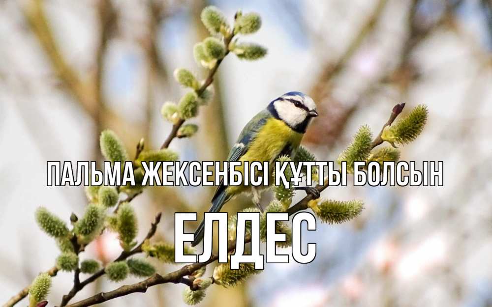 Күн сайын ашық хат с именем, Елдес Пальма жексенбісі құтты болсын верба Онлайн тегін жүктеп алу тілектері бар керемет карта 