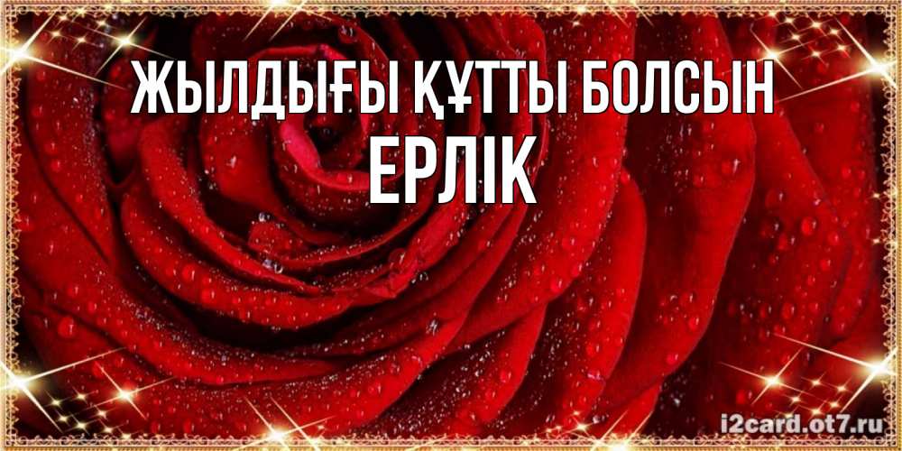 Күн сайын ашық хат с именем, Ерлік Жылдығы құтты болсын роса на розе блестящая в лучах солнца Онлайн тегін жүктеп алу тілектері бар керемет карта 