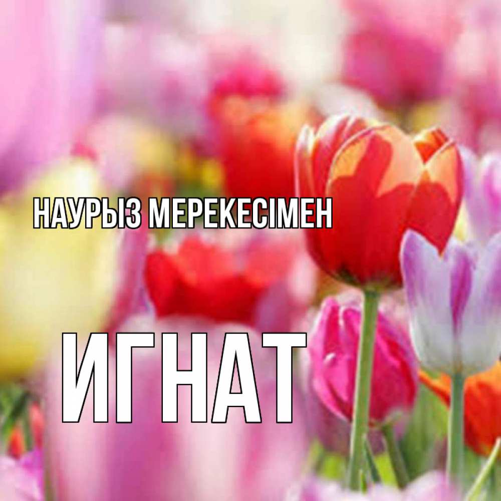 Күн сайын ашық хат с именем, Игнат Наурыз мерекесімен праздник весны наурыз 67 Онлайн тегін жүктеп алу тілектері бар керемет карта 