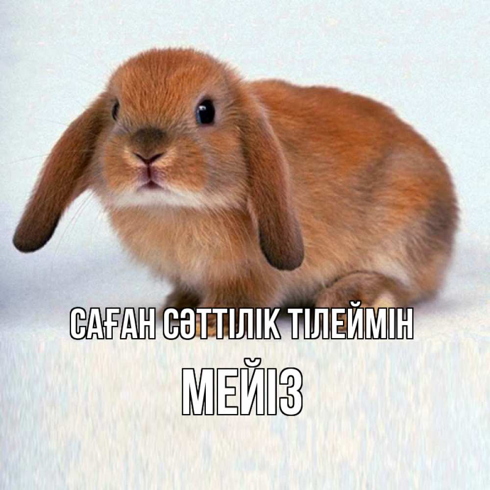 Күн сайын ашық хат с именем, МЕЙІЗ Саған сәттілік тілеймін вставить текст в открытку по выбору Онлайн тегін жүктеп алу тілектері бар керемет карта 