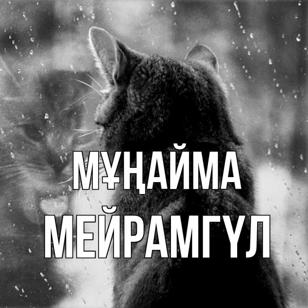 Күн сайын ашық хат с именем, МЕЙРАМГҮЛ Мұңайма отражение кота 1 Онлайн тегін жүктеп алу тілектері бар керемет карта 