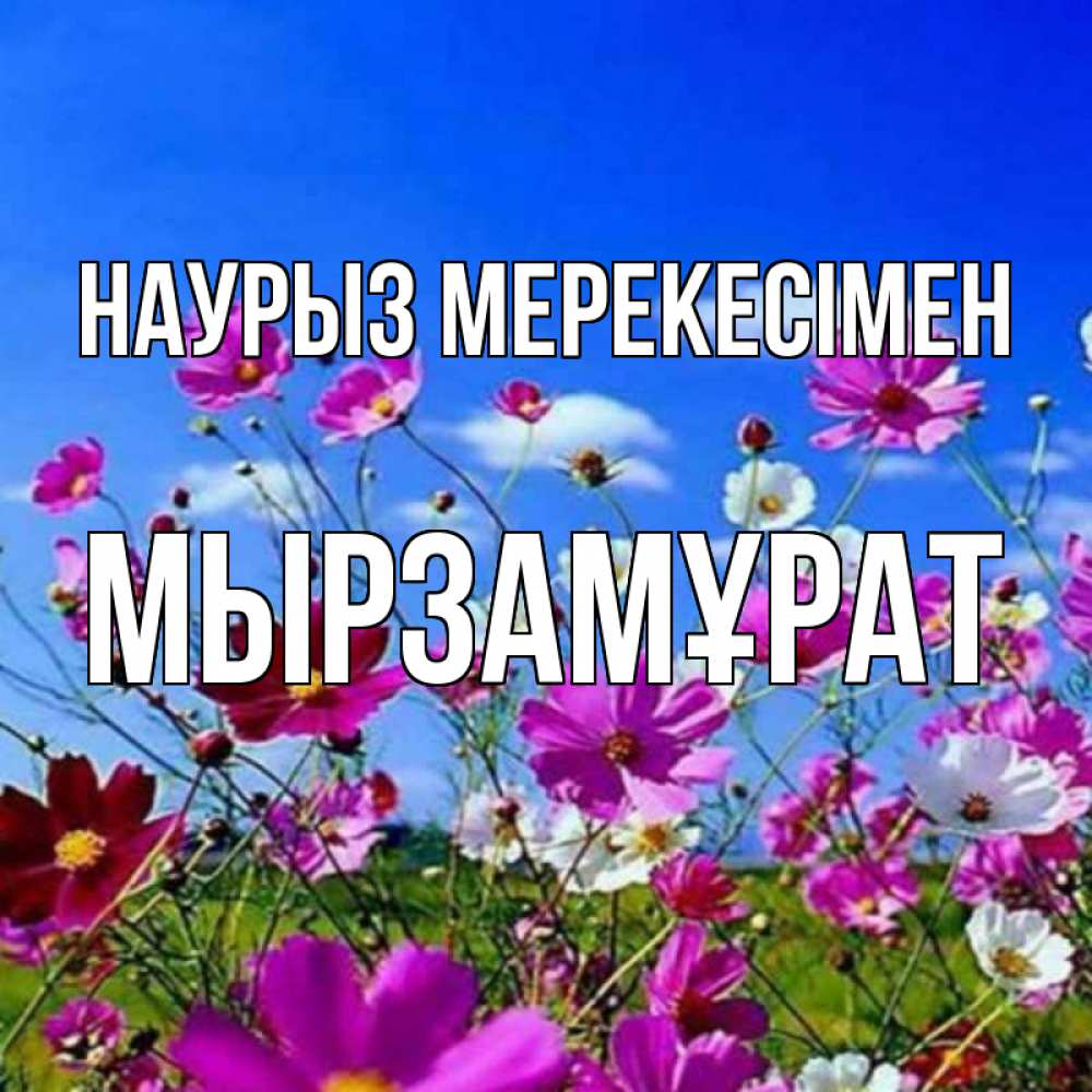 Күн сайын ашық хат с именем, Мырзамұрат Наурыз мерекесімен цветы Онлайн тегін жүктеп алу тілектері бар керемет карта 