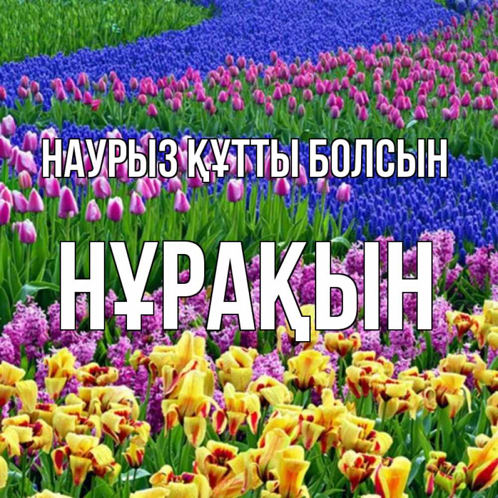 Күн сайын ашық хат с именем, НҰРАҚЫН Наурыз құтты болсын цветы Онлайн тегін жүктеп алу тілектері бар керемет карта 