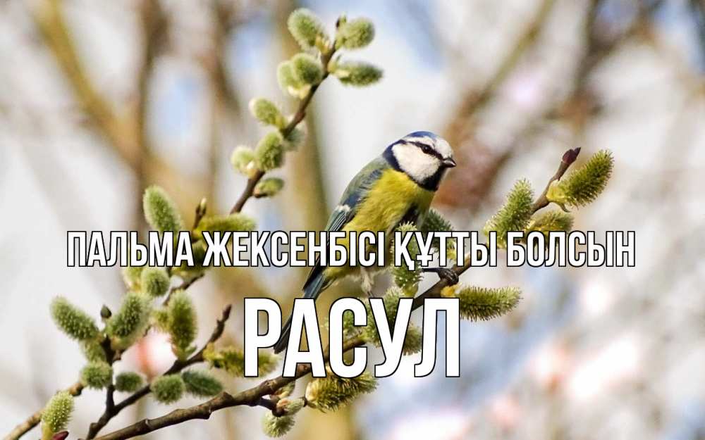 Күн сайын ашық хат с именем, РАСУЛ Пальма жексенбісі құтты болсын верба Онлайн тегін жүктеп алу тілектері бар керемет карта 