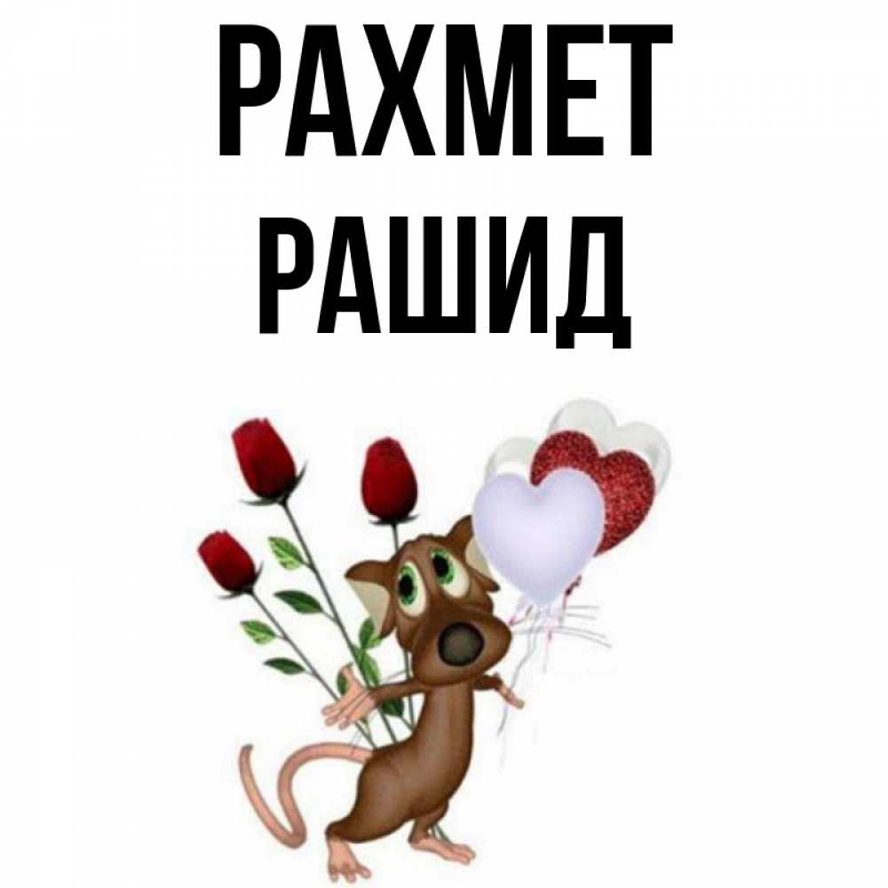 Күн сайын ашық хат с именем, Рашид рахмет песик с шариками в форме сердец Онлайн тегін жүктеп алу тілектері бар керемет карта 