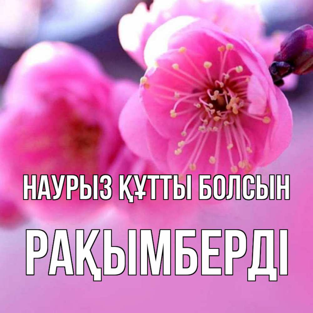 Күн сайын ашық хат с именем, Рақымберді Наурыз құтты болсын наурыз мейрам Онлайн тегін жүктеп алу тілектері бар керемет карта 