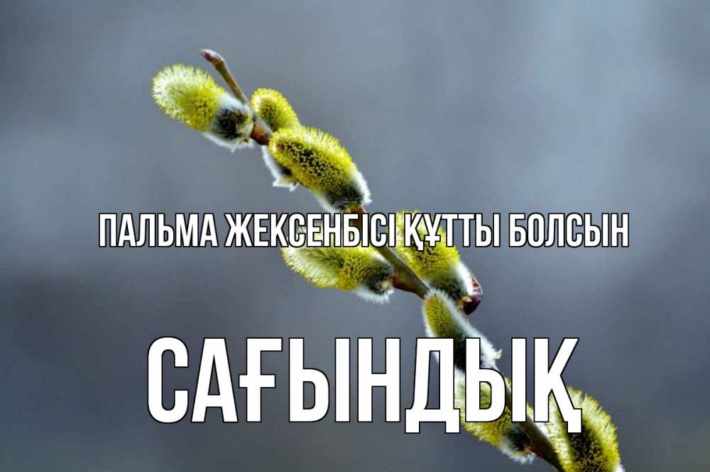 Күн сайын ашық хат с именем, САҒЫНДЫҚ Пальма жексенбісі құтты болсын верба Онлайн тегін жүктеп алу тілектері бар керемет карта 