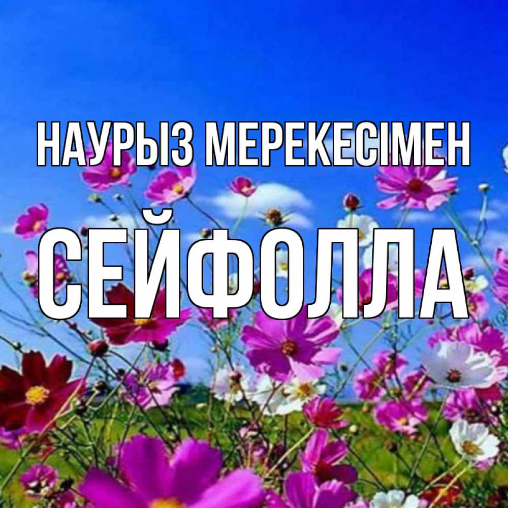Күн сайын ашық хат с именем, СЕЙФОЛЛА Наурыз мерекесімен цветы Онлайн тегін жүктеп алу тілектері бар керемет карта 
