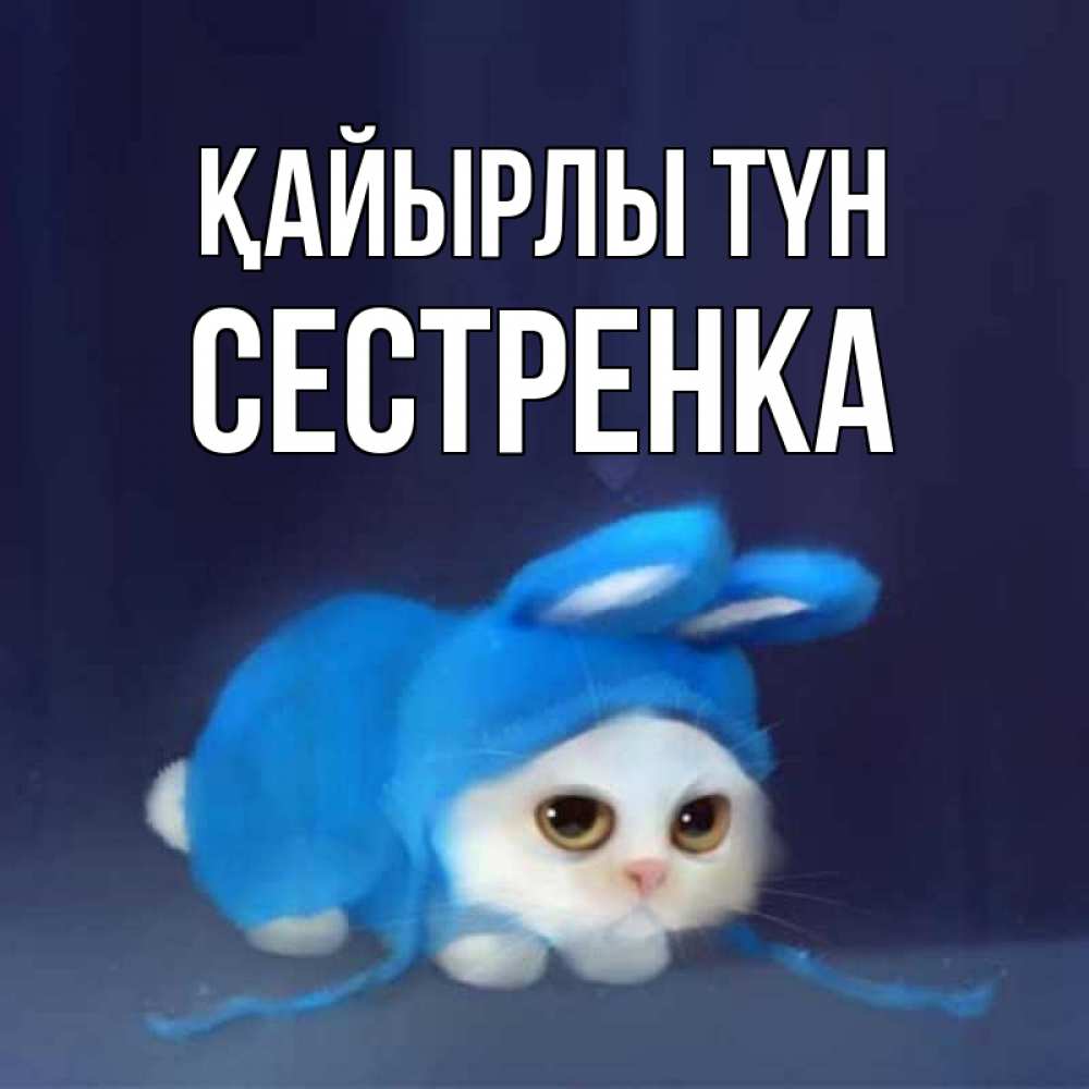 Күн сайын ашық хат с именем, Сестренка Қайырлы түн кот в голубом костюме кролика с ушками Онлайн тегін жүктеп алу тілектері бар керемет карта 