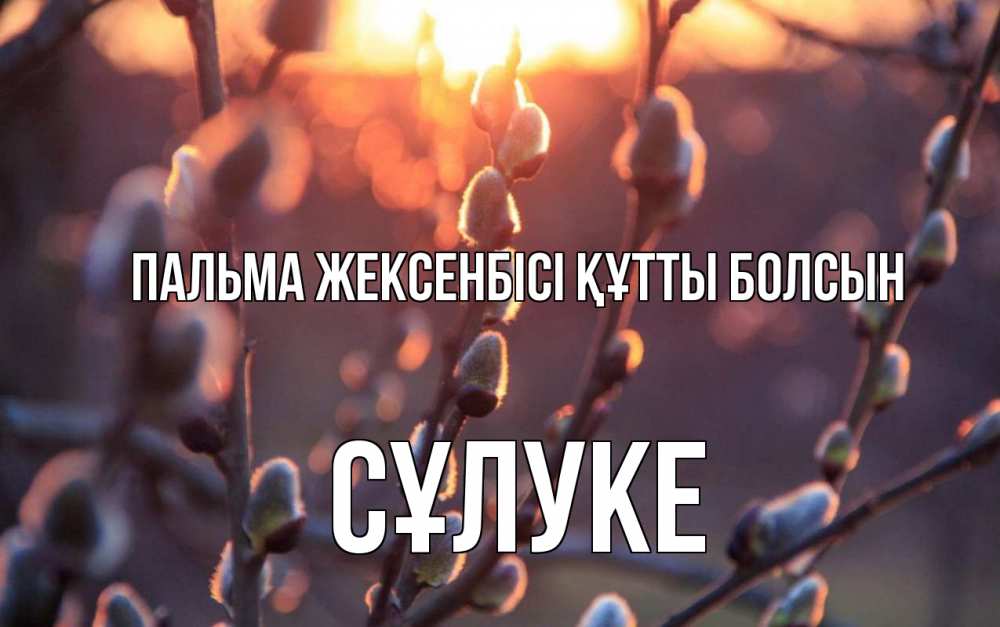 Күн сайын ашық хат с именем, СҰЛУКЕ Пальма жексенбісі құтты болсын верба Онлайн тегін жүктеп алу тілектері бар керемет карта 
