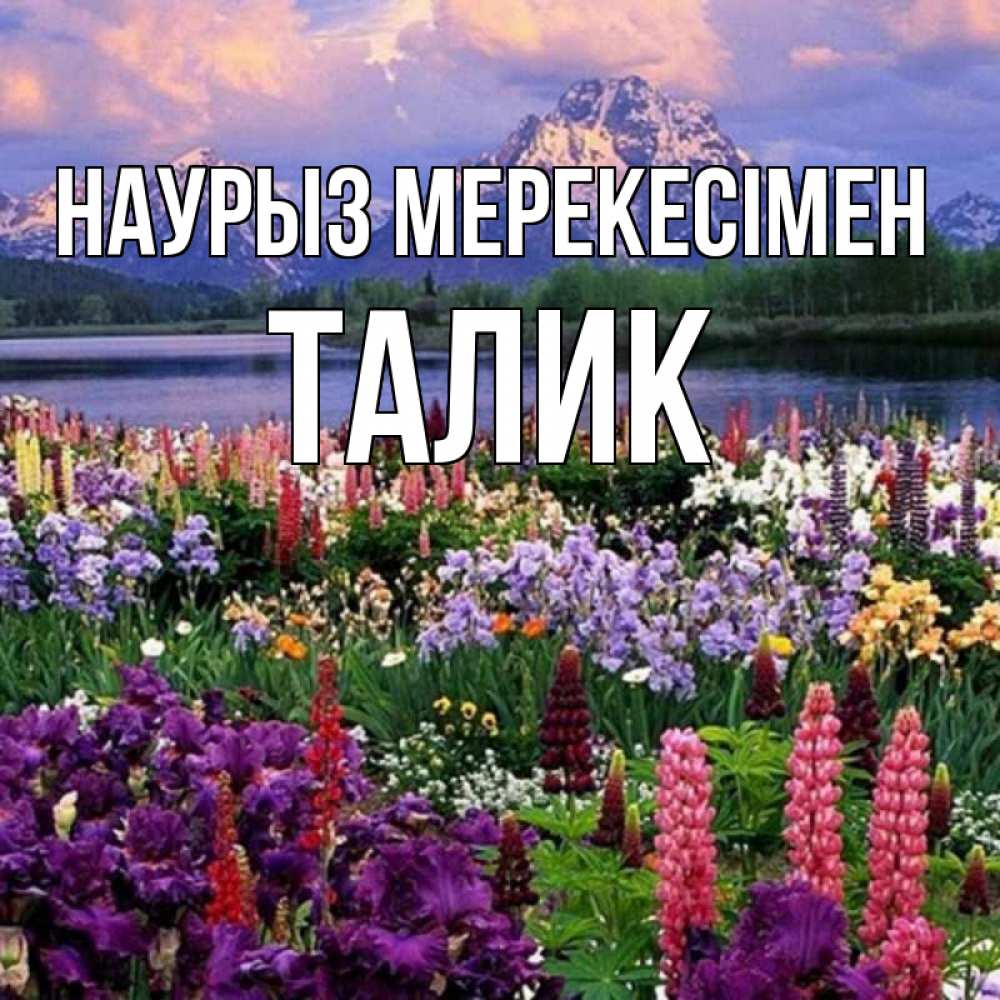 Күн сайын ашық хат с именем, Талик Наурыз мерекесімен праздник весны наурыз Онлайн тегін жүктеп алу тілектері бар керемет карта 
