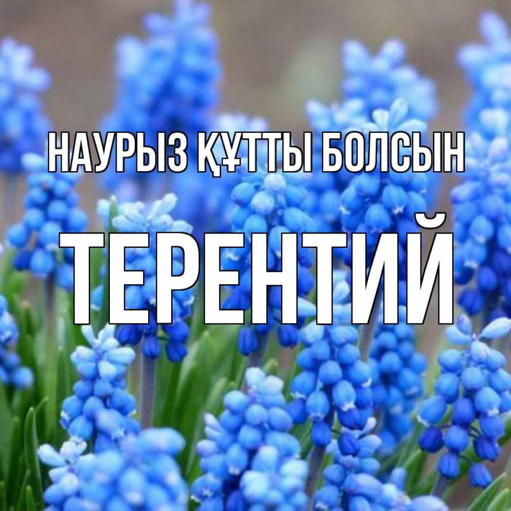 Күн сайын ашық хат с именем, Терентий Наурыз құтты болсын Поздравительная открытка для женщин с цветами на праздничную дату Онлайн тегін жүктеп алу тілектері бар керемет карта 