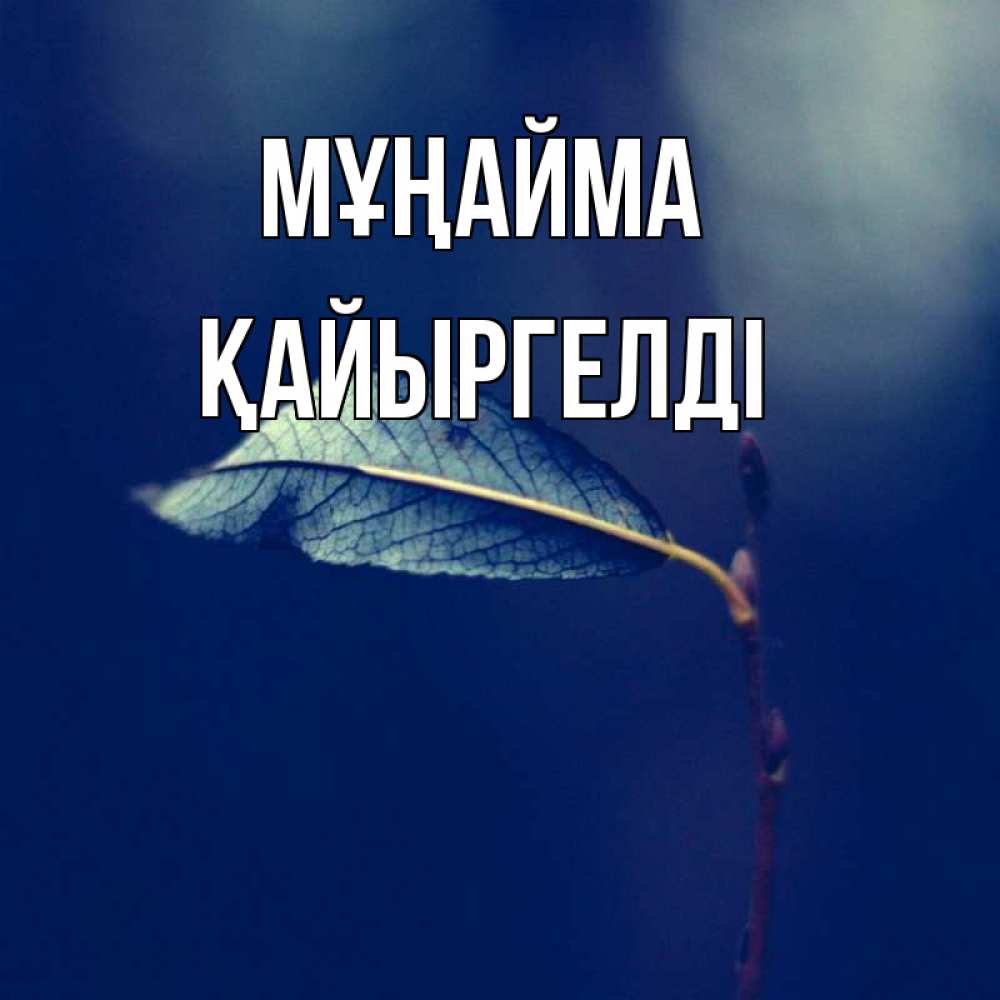 Күн сайын ашық хат с именем, Қайыргелді Мұңайма растение Онлайн тегін жүктеп алу тілектері бар керемет карта 