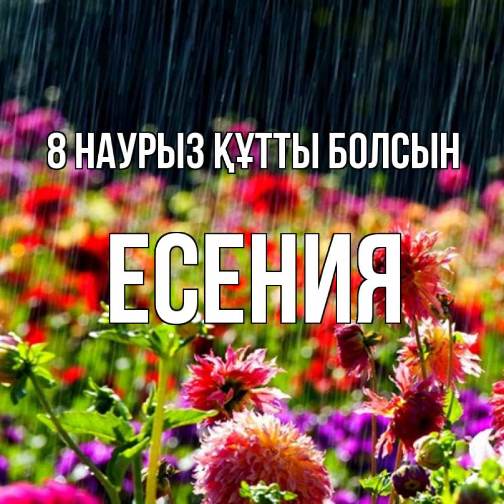 Күн сайын ашық хат с именем, Есения 8 наурыз құтты болсын цветы под дождиком к международному женскому дню Онлайн тегін жүктеп алу тілектері бар керемет карта 