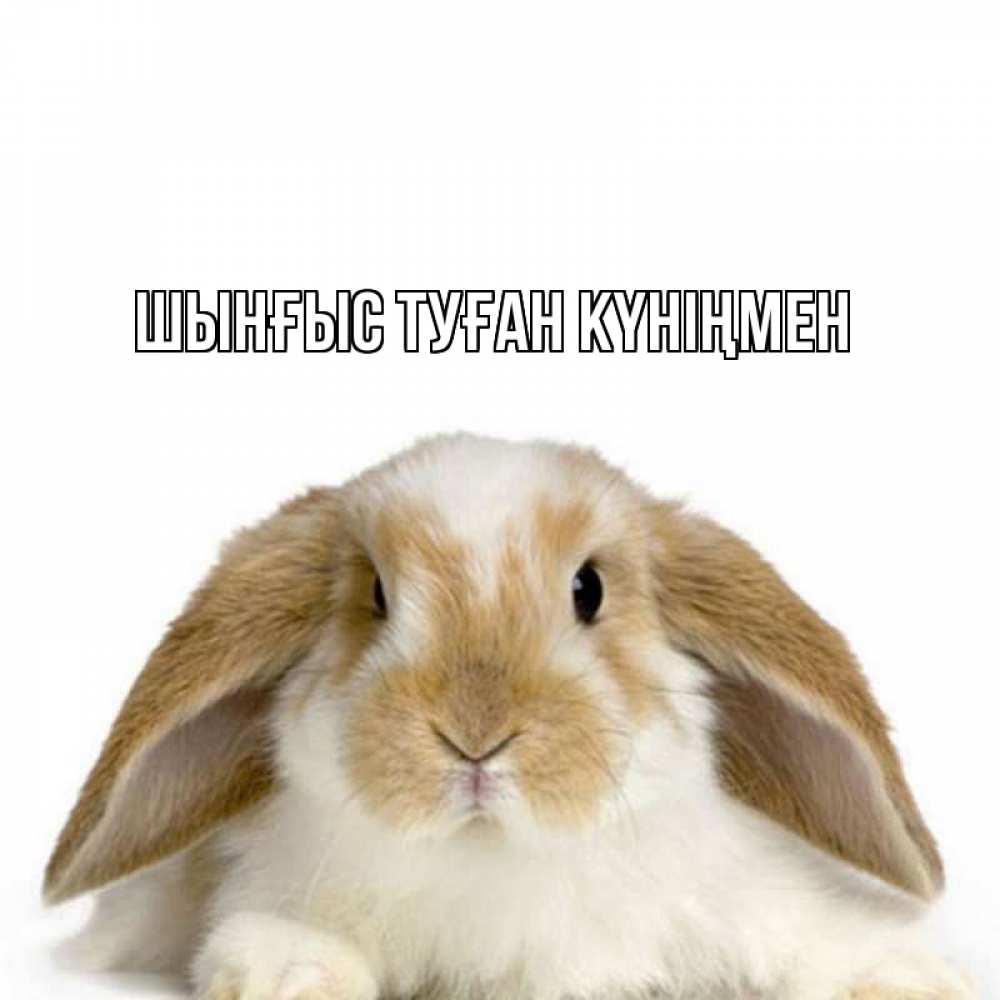 Картинка  с именем , ШЫНҒЫС! ТУҒАН КҮНІҢМЕН!