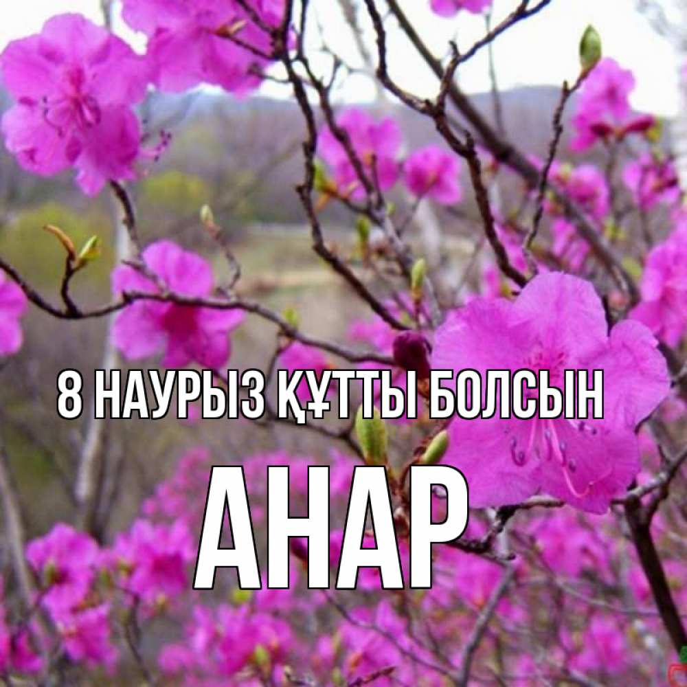 Күн сайын ашық хат с именем, АНАР 8 наурыз құтты болсын международный женский день Онлайн тегін жүктеп алу тілектері бар керемет карта 
