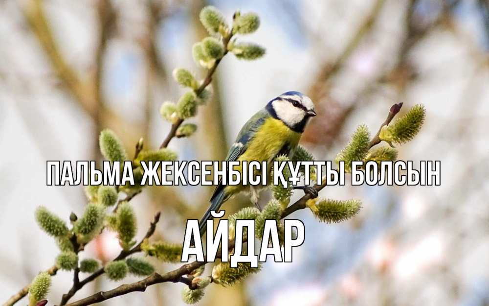 Күн сайын ашық хат с именем, Айдар Пальма жексенбісі құтты болсын верба Онлайн тегін жүктеп алу тілектері бар керемет карта 