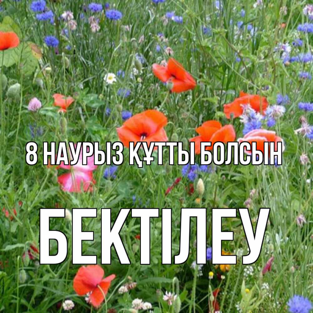 Күн сайын ашық хат с именем, Бектілеу 8 наурыз құтты болсын международный женский день 4 Онлайн тегін жүктеп алу тілектері бар керемет карта 