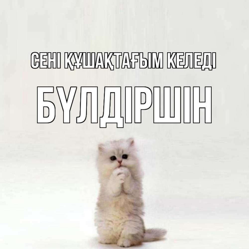 Күн сайын ашық хат с именем, БҮЛДІРШІН сені құшақтағым келеді открытки с креативными подписями Онлайн тегін жүктеп алу тілектері бар керемет карта 