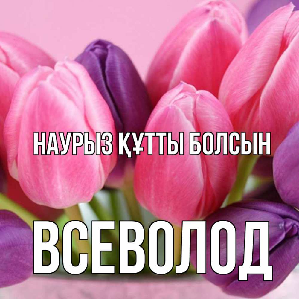 Күн сайын ашық хат с именем, Всеволод Наурыз құтты болсын маме 1 Онлайн тегін жүктеп алу тілектері бар керемет карта 