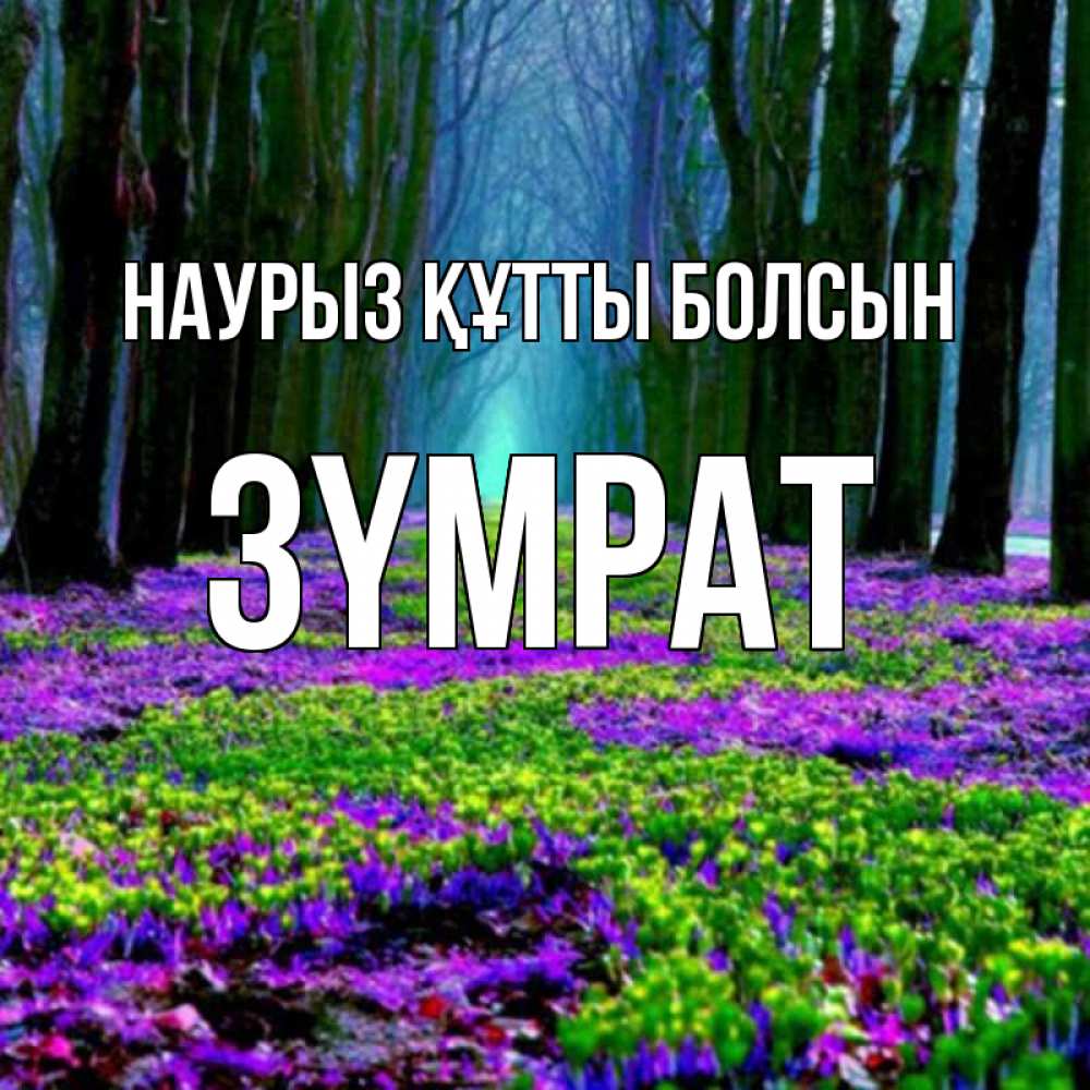 Күн сайын ашық хат с именем, ЗҮМРАТ Наурыз құтты болсын фиолетовые цветы в лесу 1 Онлайн тегін жүктеп алу тілектері бар керемет карта 