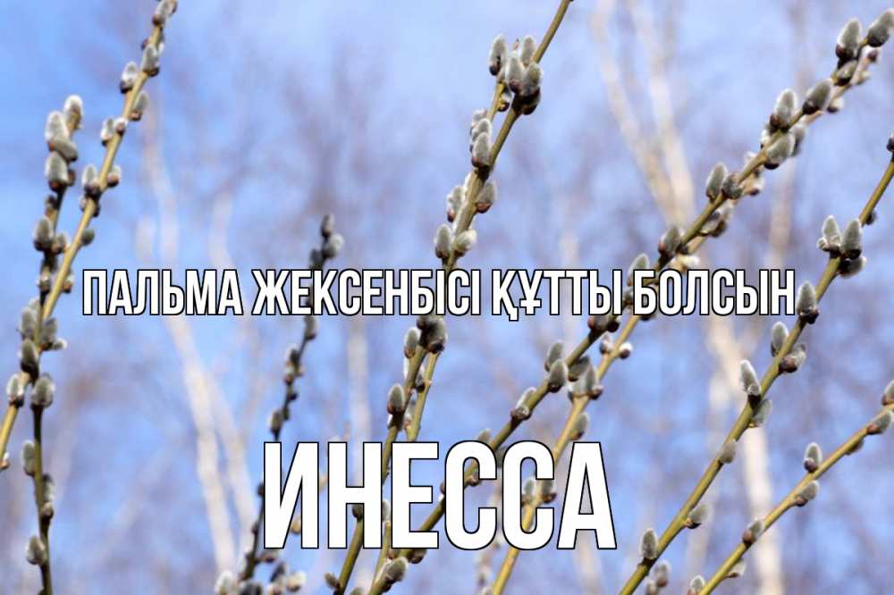 Күн сайын ашық хат с именем, Инесса Пальма жексенбісі құтты болсын верба Онлайн тегін жүктеп алу тілектері бар керемет карта 