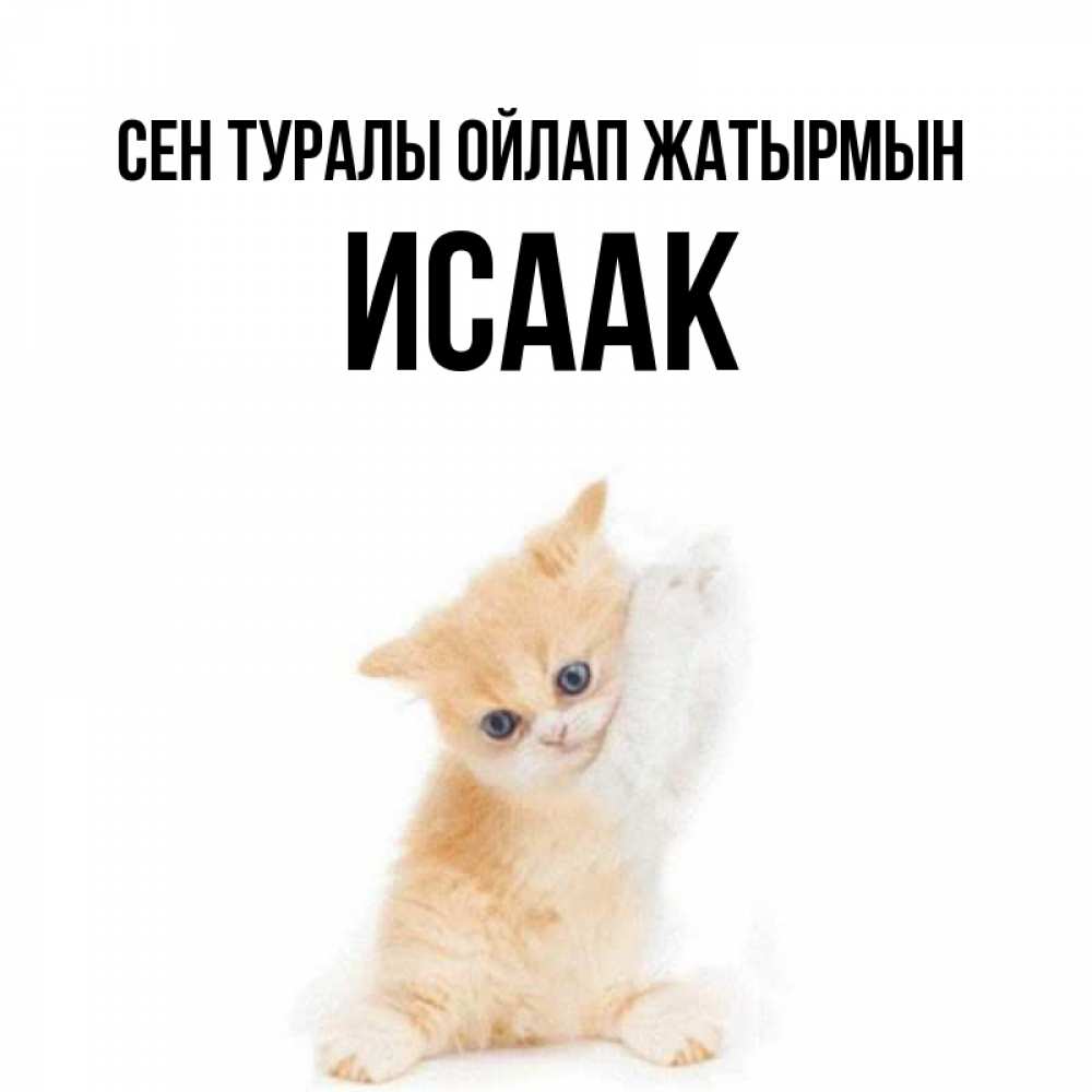Күн сайын ашық хат с именем, Исаак Сен туралы ойлап жатырмын зверушки и милота Онлайн тегін жүктеп алу тілектері бар керемет карта 
