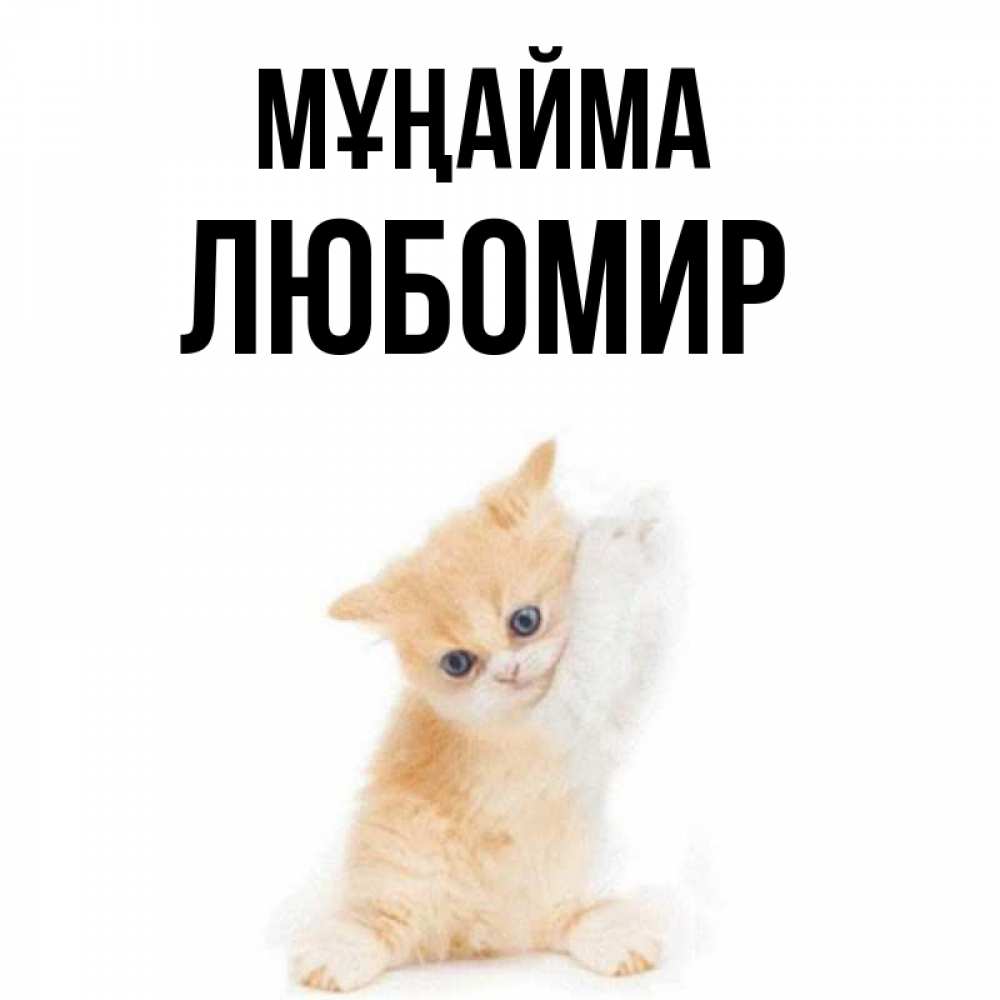 Күн сайын ашық хат с именем, Любомир Мұңайма просящий кот Онлайн тегін жүктеп алу тілектері бар керемет карта 