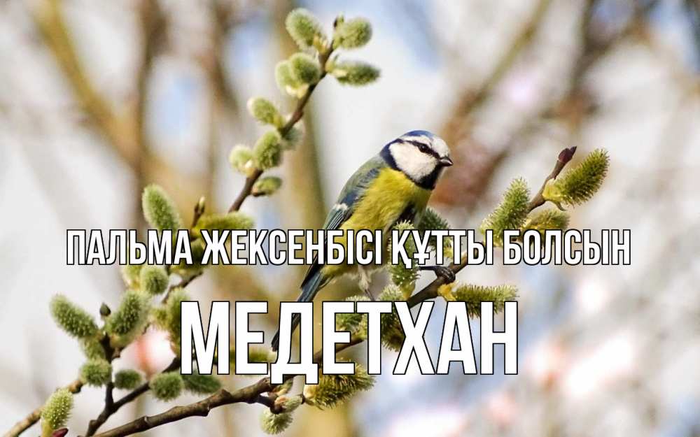 Күн сайын ашық хат с именем, МЕДЕТХАН Пальма жексенбісі құтты болсын верба Онлайн тегін жүктеп алу тілектері бар керемет карта 