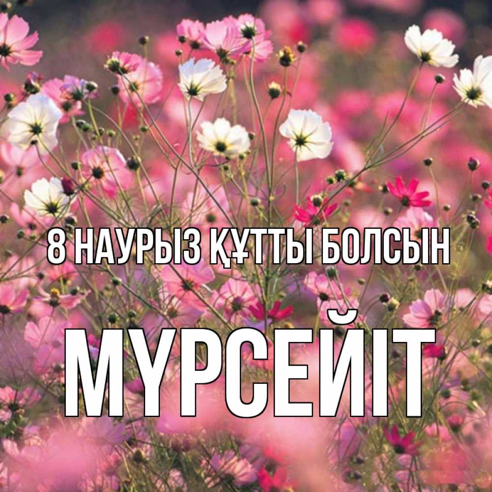 Күн сайын ашық хат с именем, МҮРСЕЙІТ 8 наурыз құтты болсын красиво 1 Онлайн тегін жүктеп алу тілектері бар керемет карта 