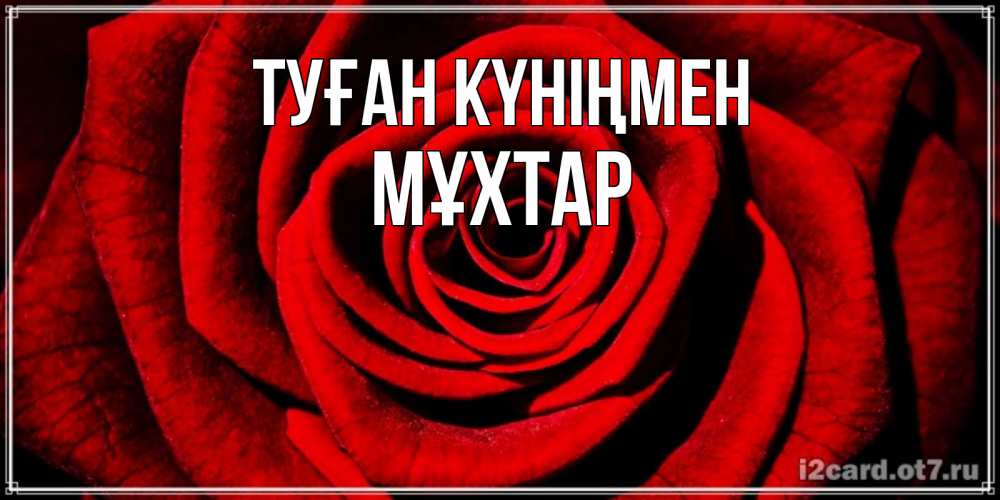 Күн сайын ашық хат с именем, МҰХТАР Туған күніңмен алая роза Онлайн тегін жүктеп алу тілектері бар керемет карта 