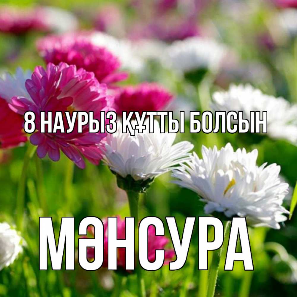 Күн сайын ашық хат с именем, МӘНСУРА 8 наурыз құтты болсын международный женский день 1 Онлайн тегін жүктеп алу тілектері бар керемет карта 