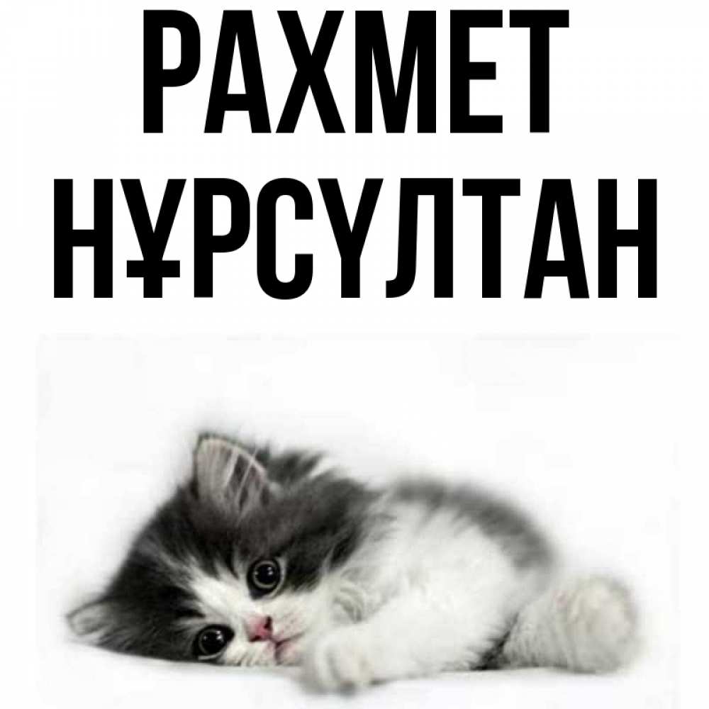 Күн сайын ашық хат с именем, НҰРСҮЛТАН рахмет черный и белый кот Онлайн тегін жүктеп алу тілектері бар керемет карта 