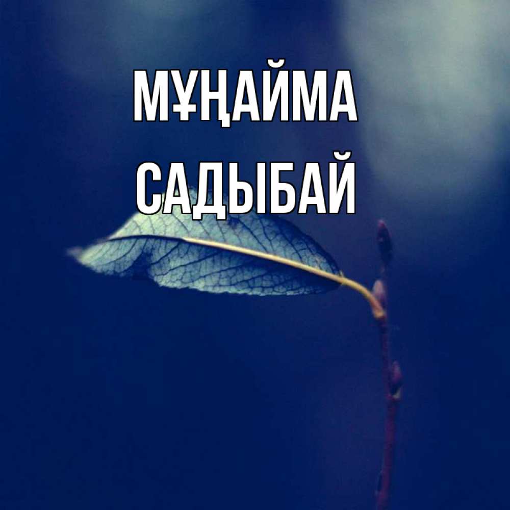 Күн сайын ашық хат с именем, САДЫБАЙ Мұңайма растение Онлайн тегін жүктеп алу тілектері бар керемет карта 