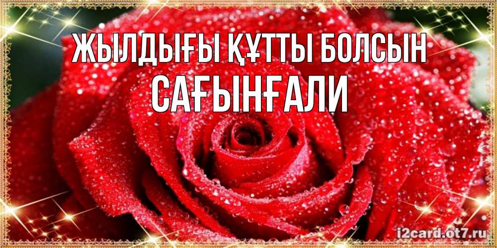 Күн сайын ашық хат с именем, Сағынғали Жылдығы құтты болсын роса и роза. открытка с красивой розой Онлайн тегін жүктеп алу тілектері бар керемет карта 