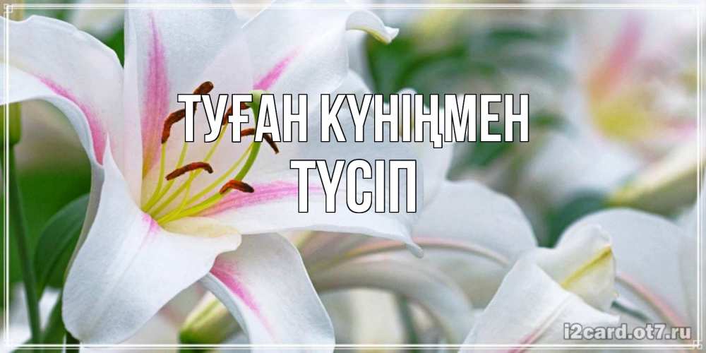 Күн сайын ашық хат с именем, ТҮСІП Туған күніңмен открытка с белой лилией Онлайн тегін жүктеп алу тілектері бар керемет карта 