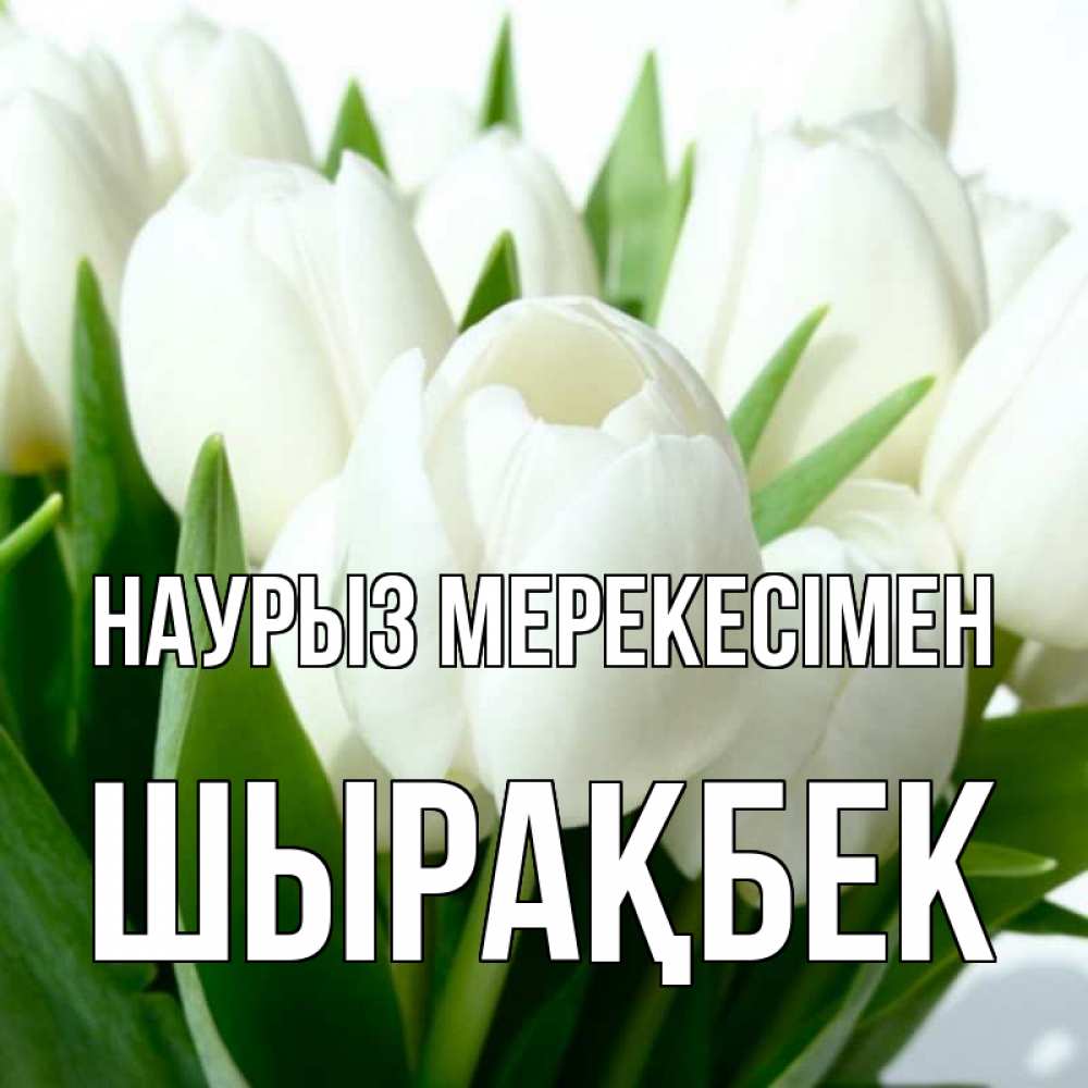 Күн сайын ашық хат с именем, ШЫРАҚБЕК Наурыз мерекесімен цветы Онлайн тегін жүктеп алу тілектері бар керемет карта 