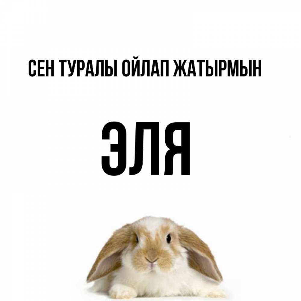 Күн сайын ашық хат с именем, Эля Сен туралы ойлап жатырмын подписать своими руками онлайн Онлайн тегін жүктеп алу тілектері бар керемет карта 