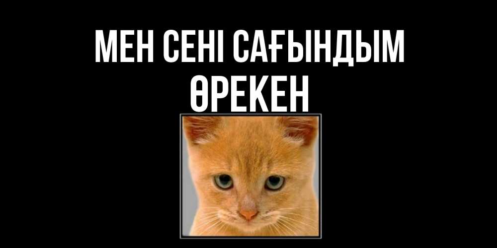 Күн сайын ашық хат с именем, ӨРЕКЕН Мен сені сағындым открытки рыжий котенок скучает по тебе Онлайн тегін жүктеп алу тілектері бар керемет карта 