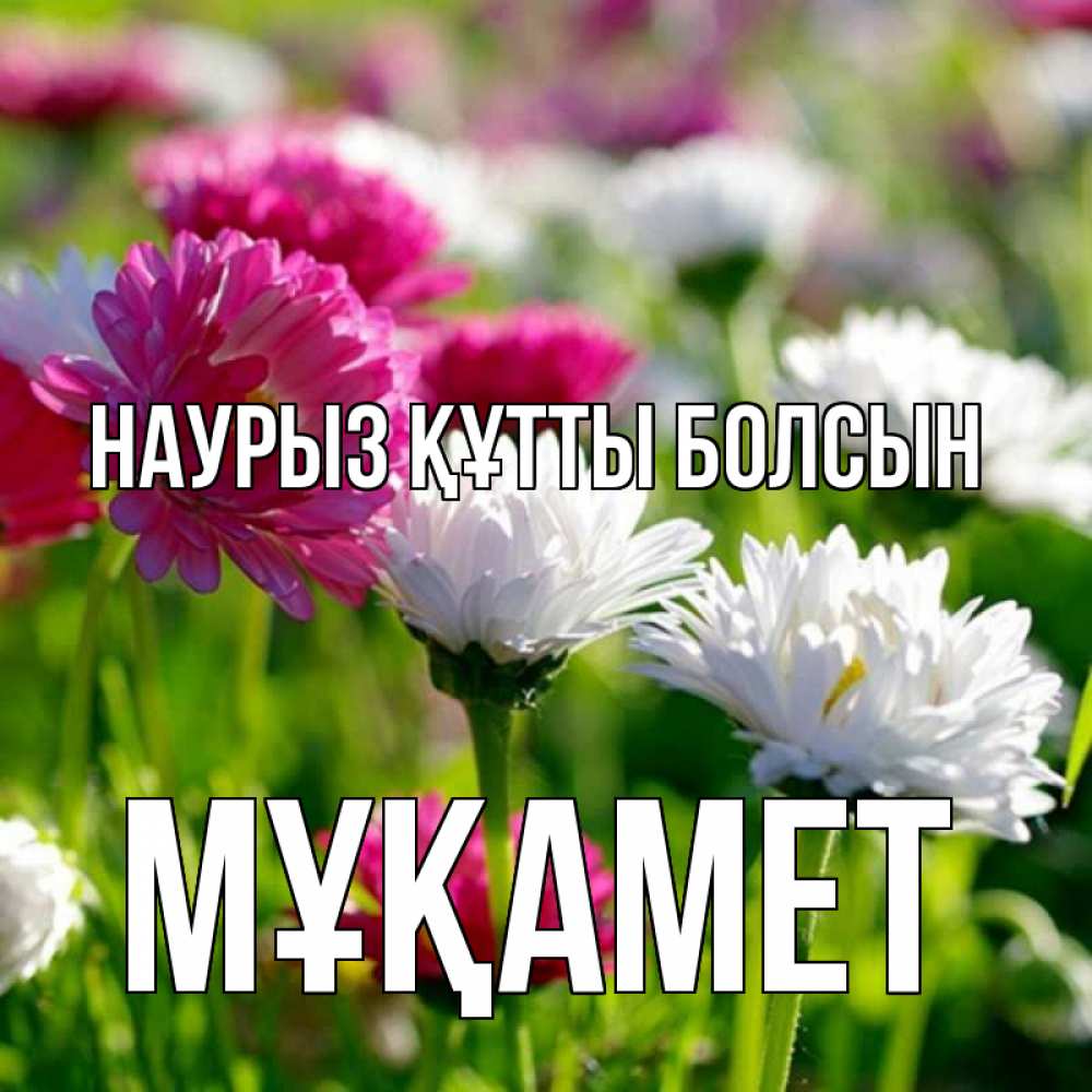 Күн сайын ашық хат с именем, МҰҚАМЕТ Наурыз құтты болсын наурыз Онлайн тегін жүктеп алу тілектері бар керемет карта 