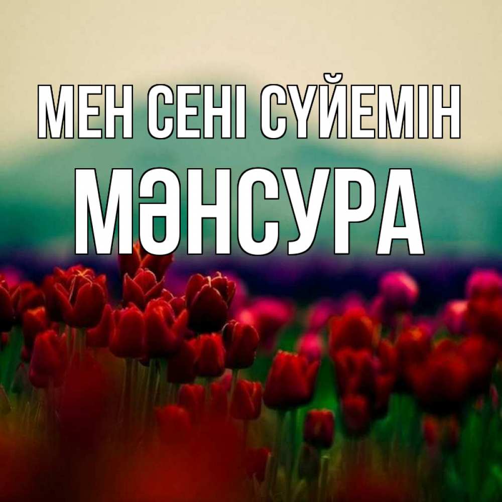 Күн сайын ашық хат с именем, МӘНСУРА Мен сені сүйемін тюльпаны 4 Онлайн тегін жүктеп алу тілектері бар керемет карта 