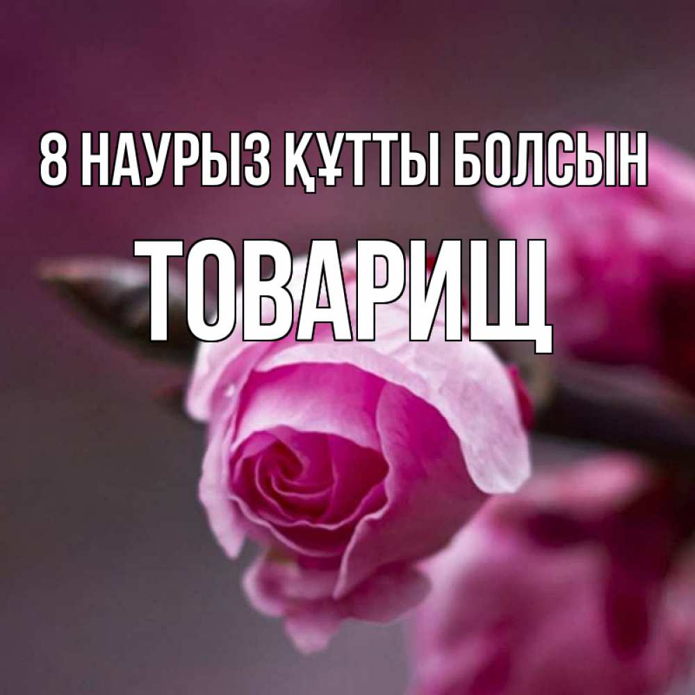 Күн сайын ашық хат с именем, Товарищ 8 наурыз құтты болсын весна Онлайн тегін жүктеп алу тілектері бар керемет карта 