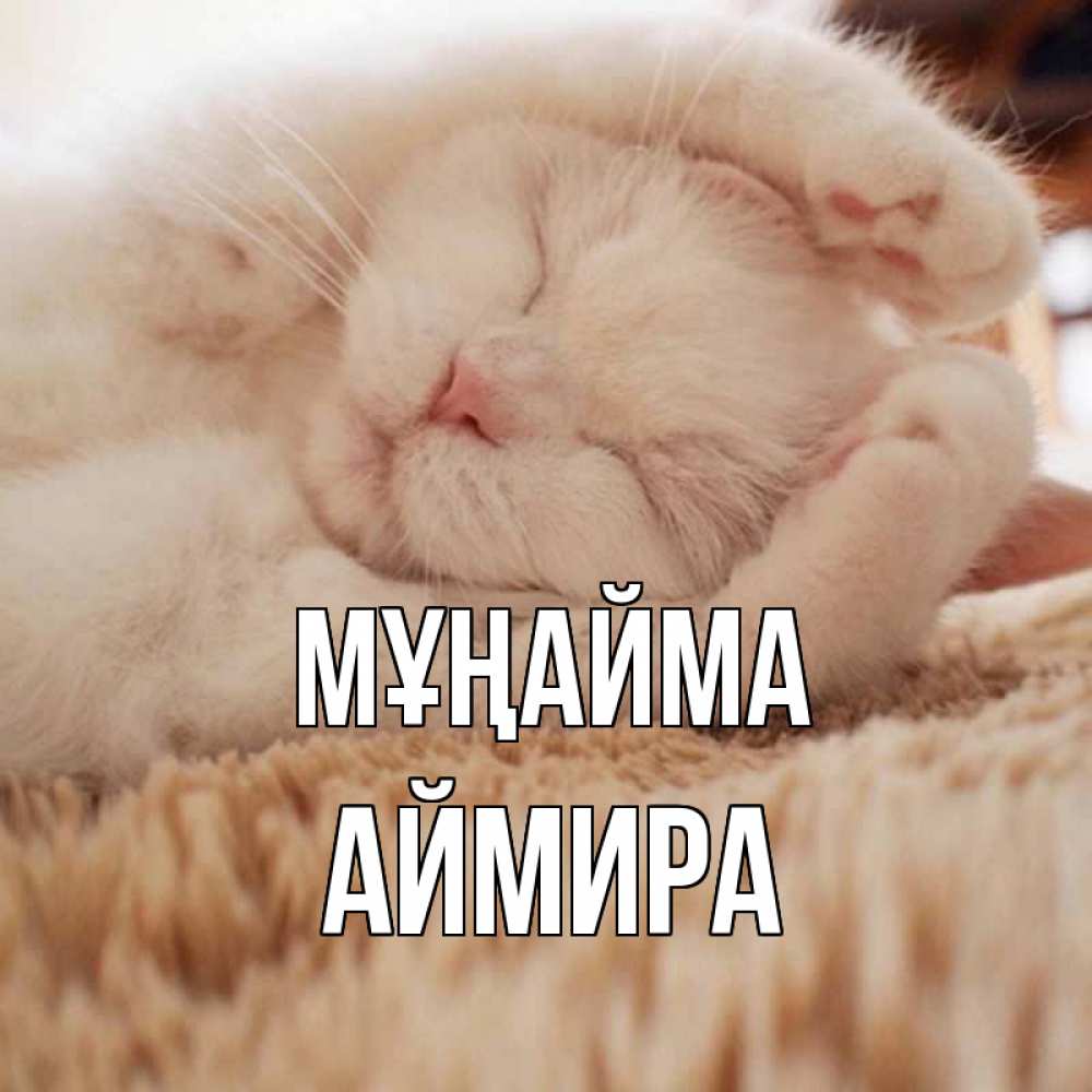 Күн сайын ашық хат с именем, АЙМИРА Мұңайма белый кот Онлайн тегін жүктеп алу тілектері бар керемет карта 