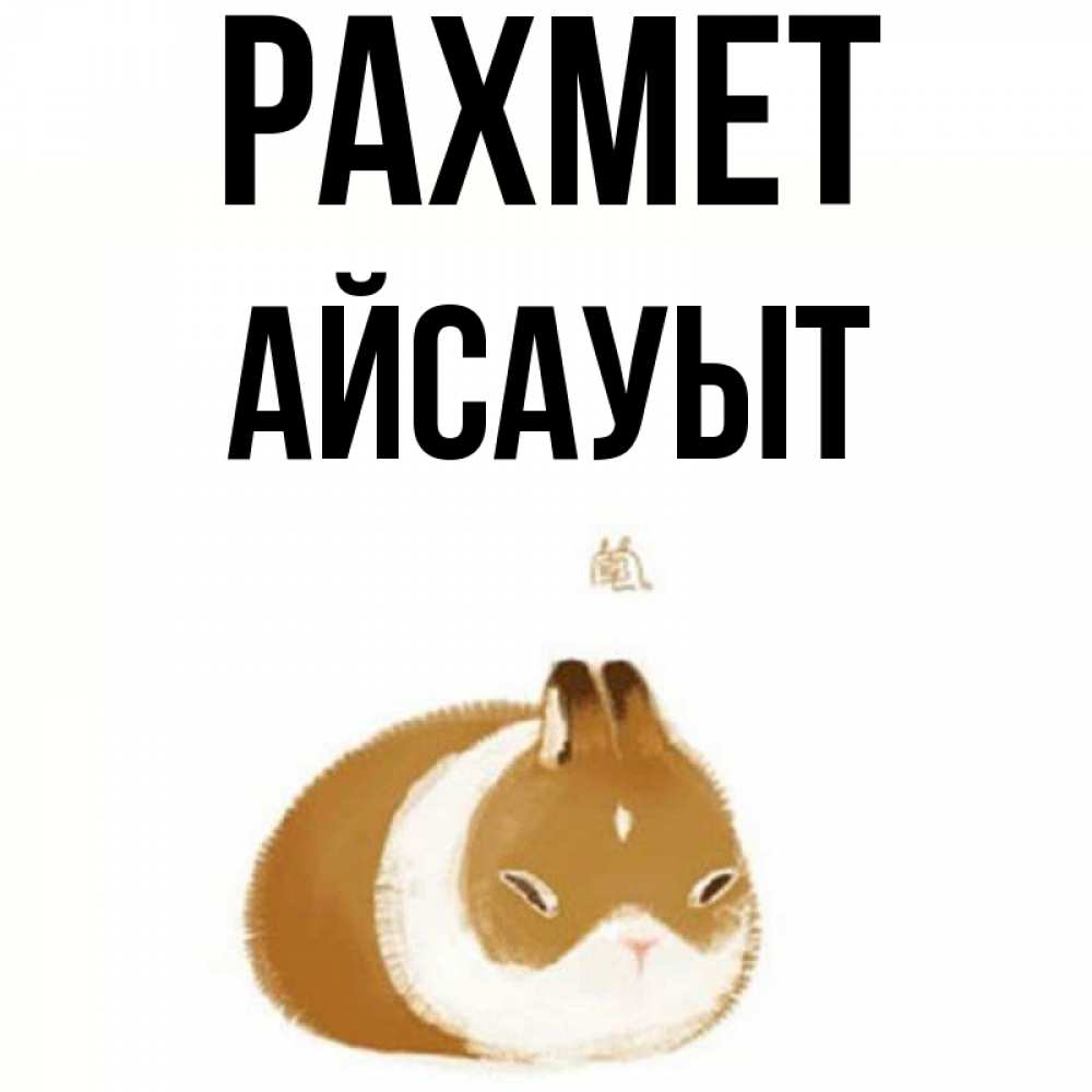 Күн сайын ашық хат с именем, Айсауыт рахмет коричнево белый домашний питомец Онлайн тегін жүктеп алу тілектері бар керемет карта 