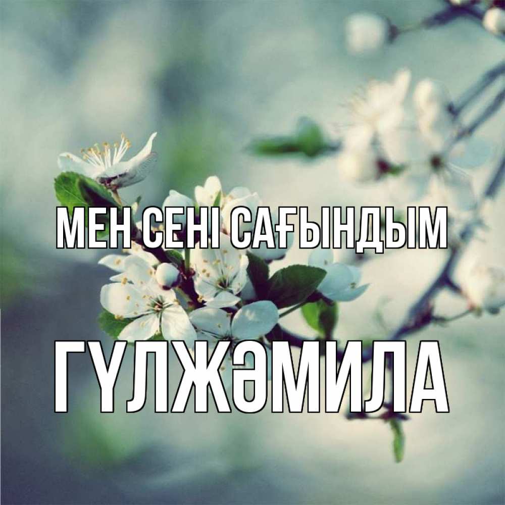 Күн сайын ашық хат с именем, ГҮЛЖӘМИЛА Мен сені сағындым весна Онлайн тегін жүктеп алу тілектері бар керемет карта 