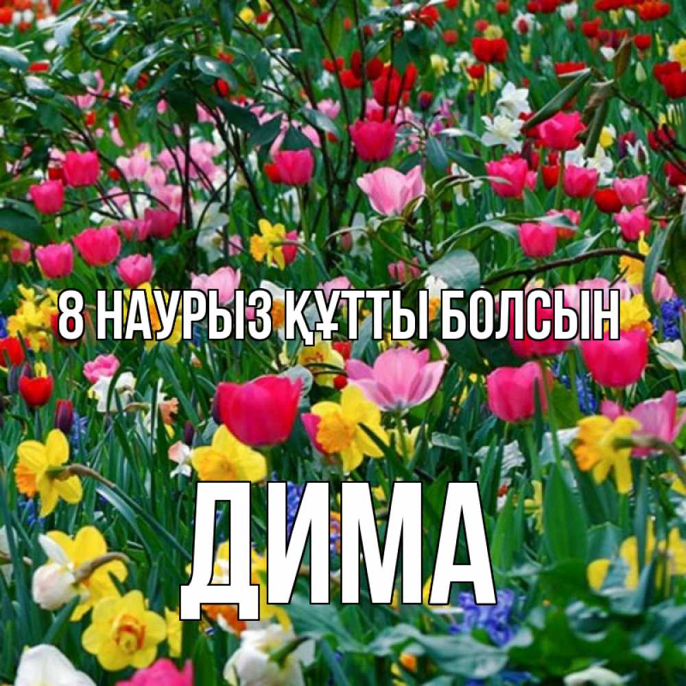 Күн сайын ашық хат с именем, Дима 8 наурыз құтты болсын с международным женским днем поздравления для женщины Онлайн тегін жүктеп алу тілектері бар керемет карта 